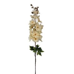 Hosszú sarkantyúfű - Krém - 90 cm