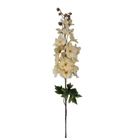 Hosszú sarkantyúfű - Krém - 90 cm