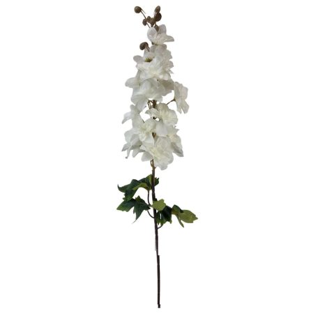 Hosszú sarkantyúfű - Tört fehér - 90 cm