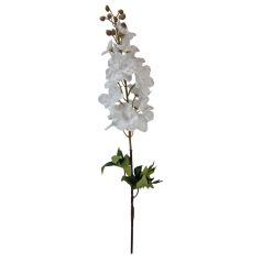 Hosszú sarkantyúfű - Fehér - 90 cm