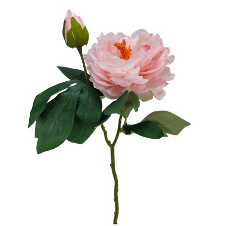 Szálas peónia - Rózsaszín - 47 cm