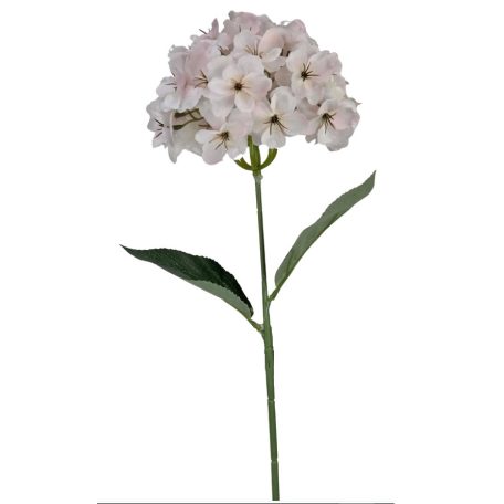 Szálas hortenzia - Halvány rózsaszín - 16 cm-es fej - 73 cm