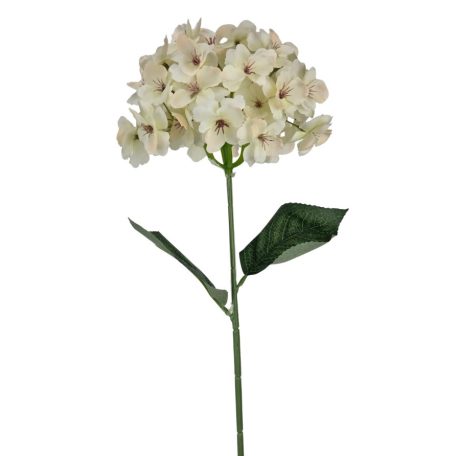 Szálas hortenzia - Tört fehér - 16 cm-es fej - 73 cm