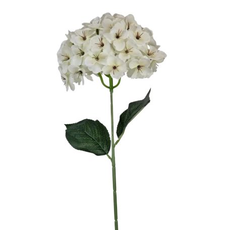 Szálas hortenzia - Fehér - 16 cm-es fej - 73 cm