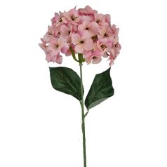 Szálas hortenzia - Rózsaszín - 16 cm-es fej - 73 cm