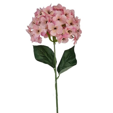 Szálas hortenzia - Rózsaszín - 16 cm-es fej - 73 cm