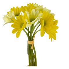   Élethű margaréta köteg - Sárga - 26 cm - 14 szál/köteg 