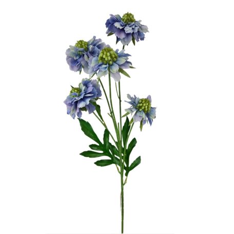 Szálas ördögszem - Kékes lila - 67 cm