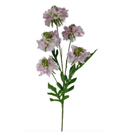 Szálas ördögszem - Rózsaszín - 67 cm