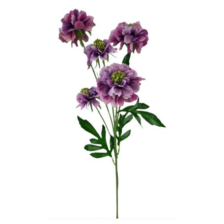 Szálas ördögszem - Pink - 67 cm 