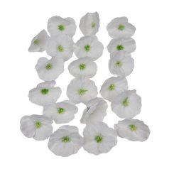 Dekor fejvirág 43 - Fehér - 7 cm - 20 db/csomag