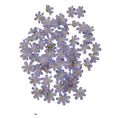 Dekor fejvirág 46 - Lila - 4 cm - 60 db/csomag