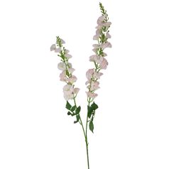 Szálas sarkantyúfű - Rózsaszín - 95 cm