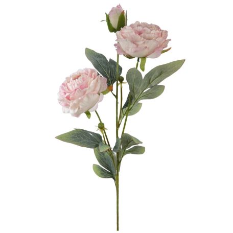 Szálas bazsarózsa 2+1 - Rózsaszín - 70 cm