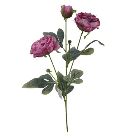 Szálas bazsarózsa 2+1 - Pink - 70 cm