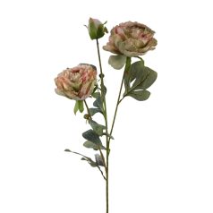 Szálas bazsarózsa 2+1 - Cirmos zöld - 70 cm