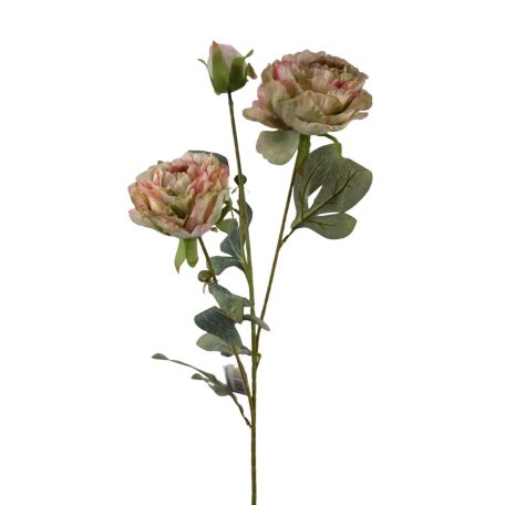 Szálas bazsarózsa 2+1 - Cirmos zöld - 70 cm