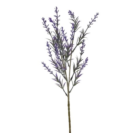 Műzöld levendula B - 47 cm