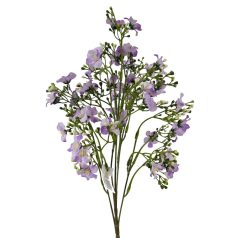 Egynyári fátyolvirág - Lila - 42 cm