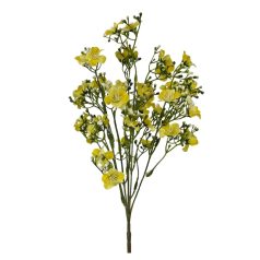 Egynyári fátyolvirág - Sárga - 42 cm 
