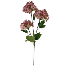 3 ágas hortenzia - Cirmos pink - 67 cm 