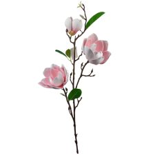 Magnólia ág F - Rózsaszín - 96 cm