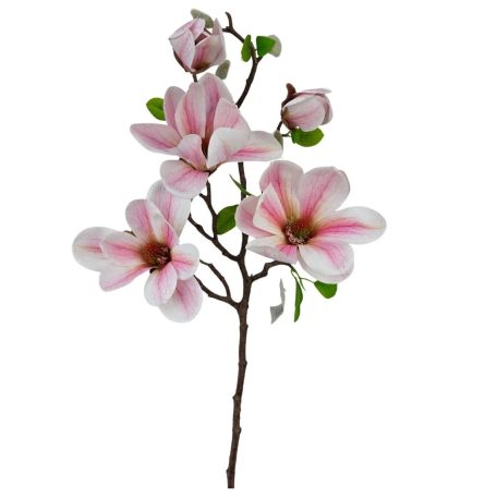 Magnólia ág E - Rózsaszín - 70 cm