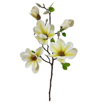 Magnólia ág E - Krém - 70 cm