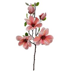 Magnólia ág E - Barackos rózsaszín - 70 cm