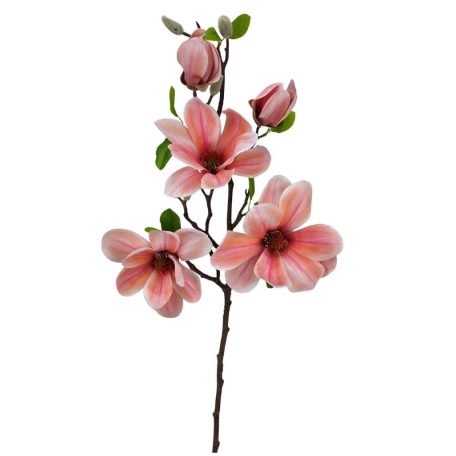 Magnólia ág E - Barackos rózsaszín - 70 cm