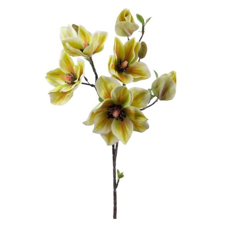 Magnólia ág G - Zöld - 90 cm