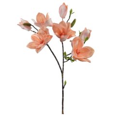 Magnólia ág G - Baarack - 90 cm