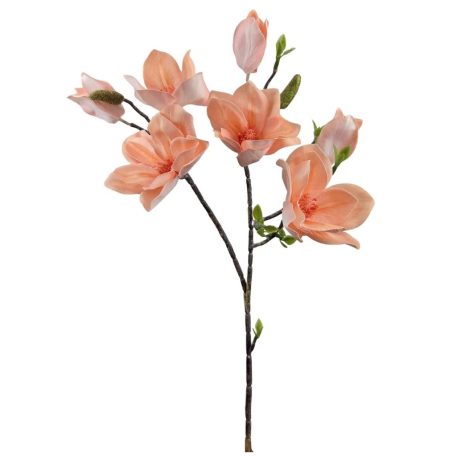 Magnólia ág G - Baarack - 90 cm