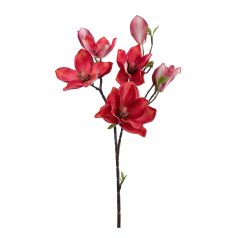 Magnólia ág G - Korall - 90 cm