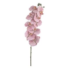   Phalenopsis ág J - Fáradt rózszaszín - 9 fejes - 100 cm  