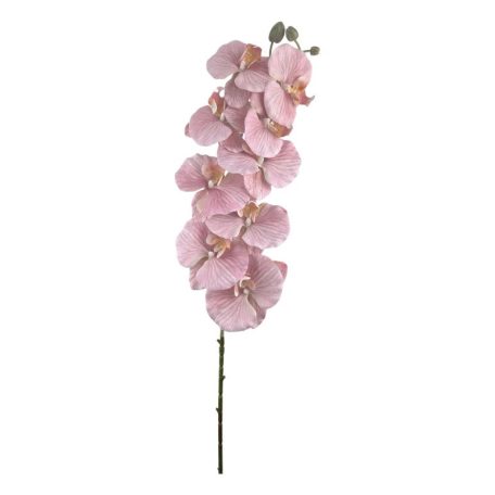 Phalenopsis ág J - Fáradt rózszaszín - 9 fejes - 100 cm  