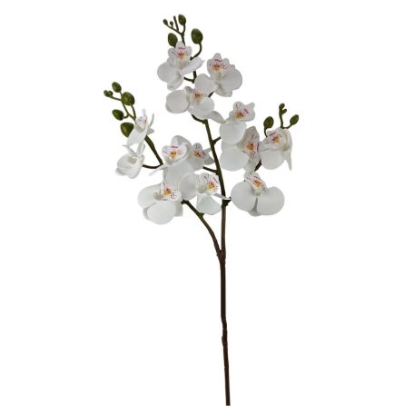 Szálas phalenopsis midi B - Fehér - 58 cm 