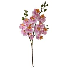Szálas phalenopsis midi B - Halvány rózsaszín - 58 cm