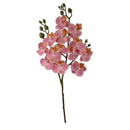 Szálas phalenopsis midi B - Rózsaszín - 58 cm 
