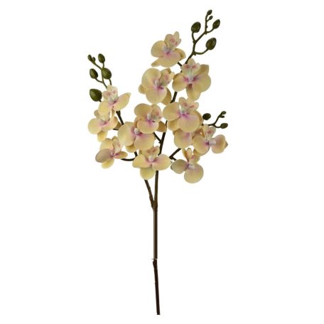 Szálas phalenopsis midi B - Krém -.58 cm