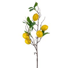 Élethű citromág - B - 80 cm  