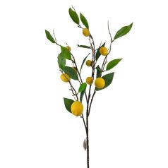 Élethű citromág - A - 92 cm 