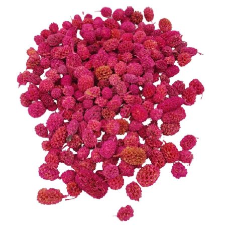 Casuarina termés - Pink - 11,5 dkg/csomag 