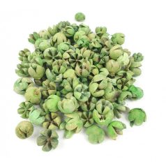  Chiruni termés - Zöld - 13 dkg/csomag