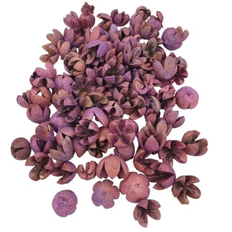 Tulipán termés - Lila - 10 dkg/csomag