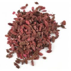  Birch Pine termés - Rózsaszín - 12 dkg/csomag 