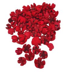  Tulipán termés - Chiruni Pod - Piros - 10 dkg/csomag