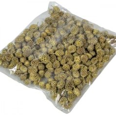 Casuarina termés - Sárga - 15 dkg/csomag