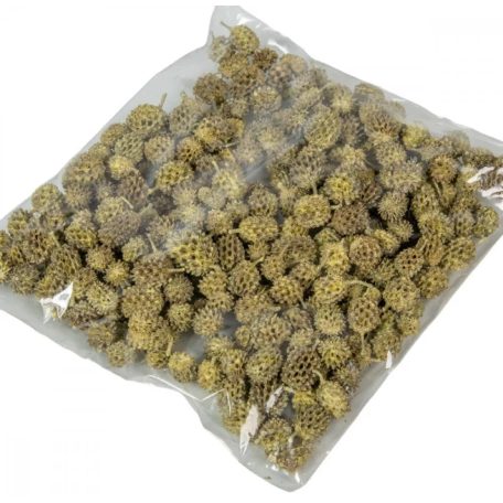 Casuarina termés - Sárga - 15 dkg/csomag