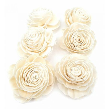 Shola Beauty Rose - Nature - 8 cm-es virágok - 6 db/csomag